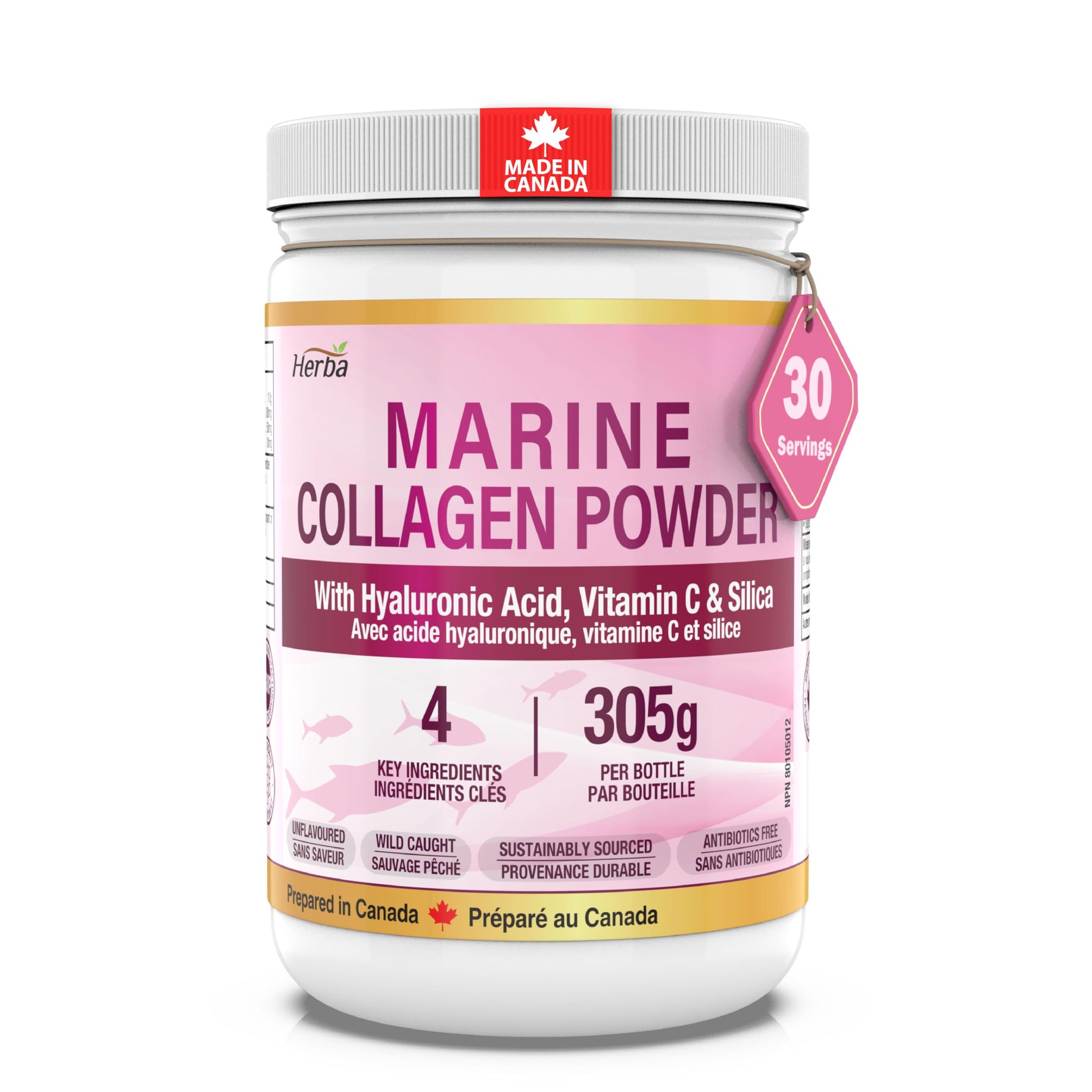 Herba Marine Collagen Powder for Women & Men with Hyaluronic Acid, Vitamin C, and Silica – 305g | Made in Canada | Wild Caught | Hydrolyzed Collagen Peptides | Antibiotics Free | Sustainably Sourced - Available at All In One Marketplace Canada