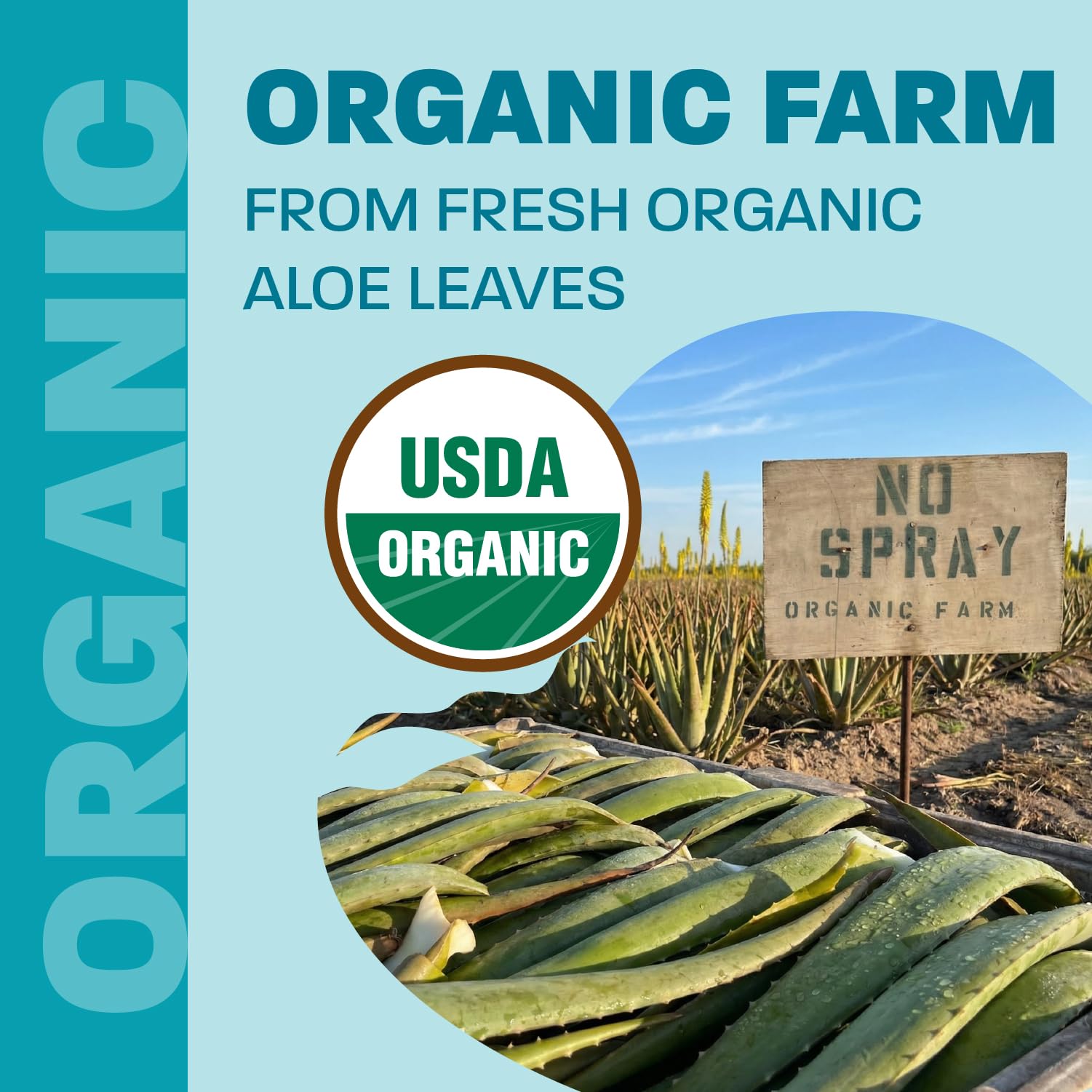 Aloe Vera Drinkable Gel, Orange, Heartburn & Acid Reflux, 1,5 L Land Art