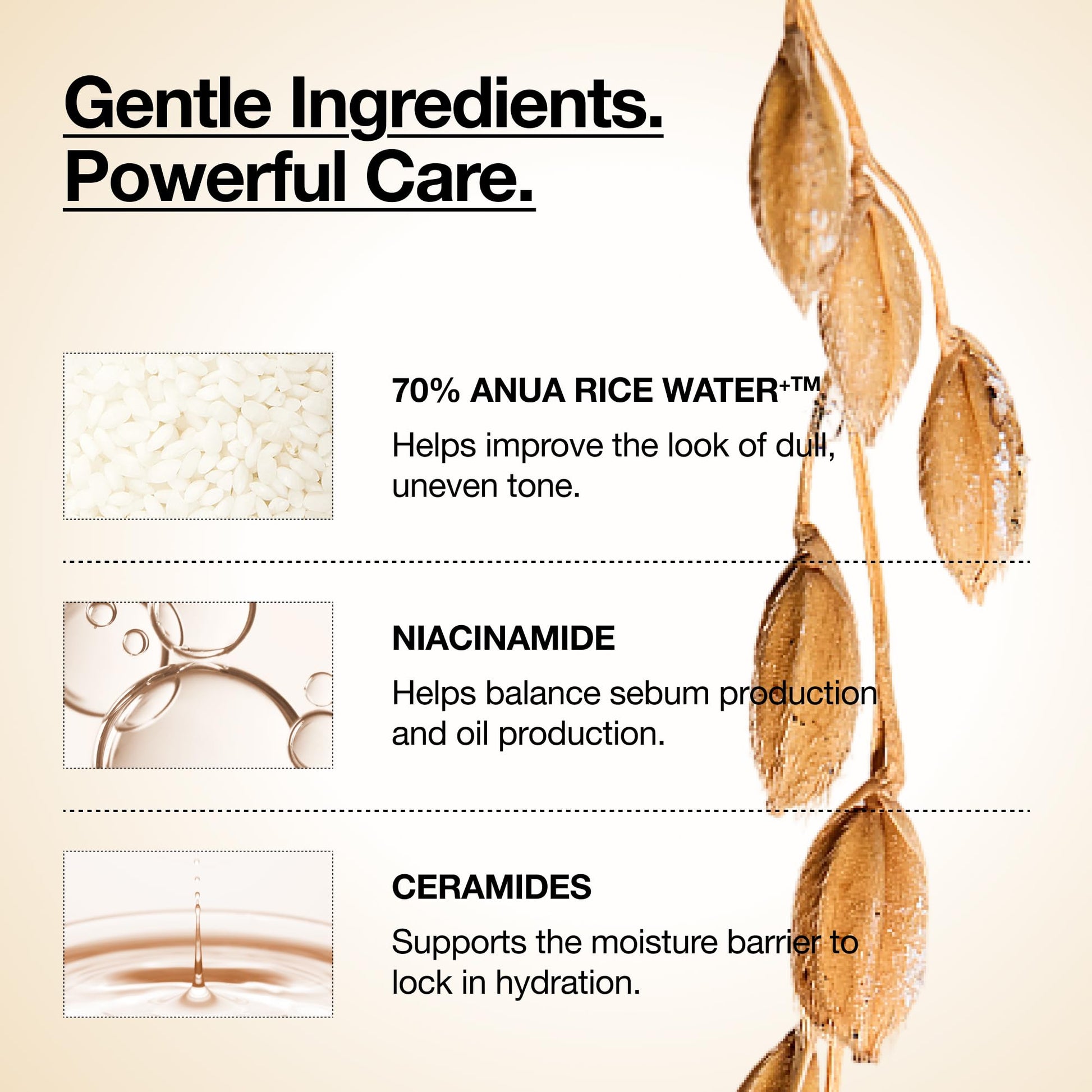 ANUA Rice 70 Glow Milky Toner 8.45 fl oz (250ml) - Hydrating and Brightening Face Toner with Rice Water, Niacinamide, Ceramides, Panthenol, Fragrance-Free, Non-Comedogenic, Suitable for All Skin Types, Korean Skincare ANUA