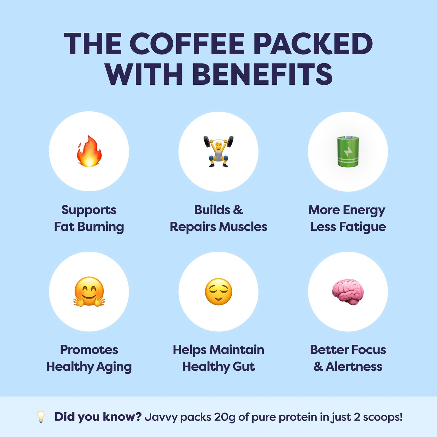 French Vanilla Protein Iced Coffee - Whey Protein & Cold Brew Blend - 100% Natural, 80mg Caffeine, No Added Sugar, 20 Servings