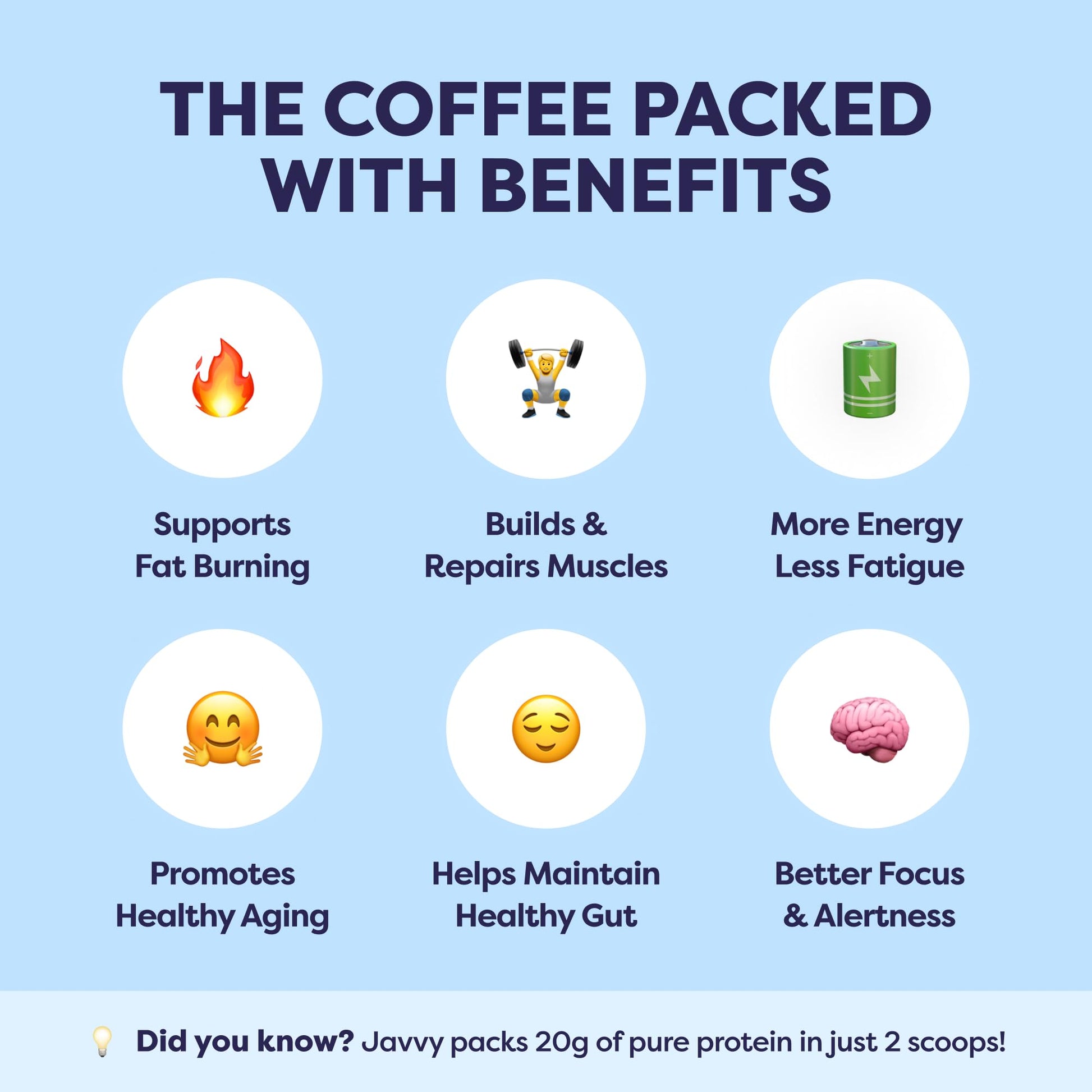 French Vanilla Protein Iced Coffee - Whey Protein & Cold Brew Blend - 100% Natural, 80mg Caffeine, No Added Sugar, 20 Servings