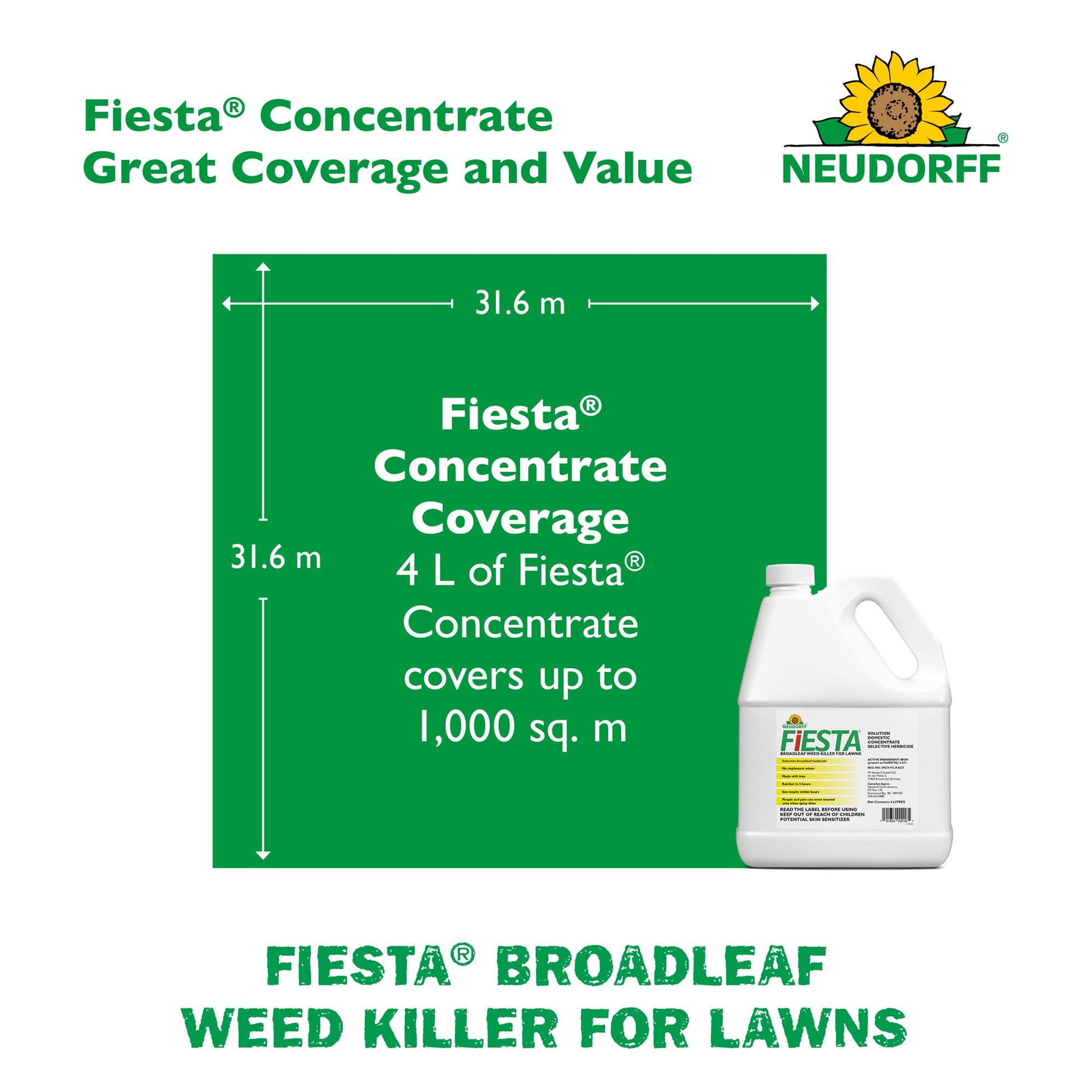 Fiesta Broadleaf Weed Killer for Lawns, Controls Dandelion, White Clover, & More & See Result within Hours. People & Pets Can Enter Treated Area when Spray Dries, Made with Iron, Rainfast in 3 Hours.