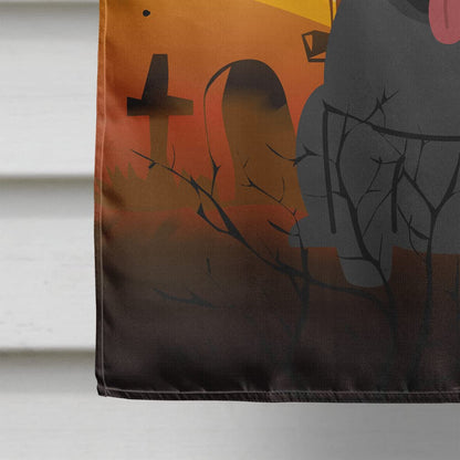 Caroline's Treasures BB4272CHF Halloween Pug Black Canvas House Size Flag, Large, Multicolor