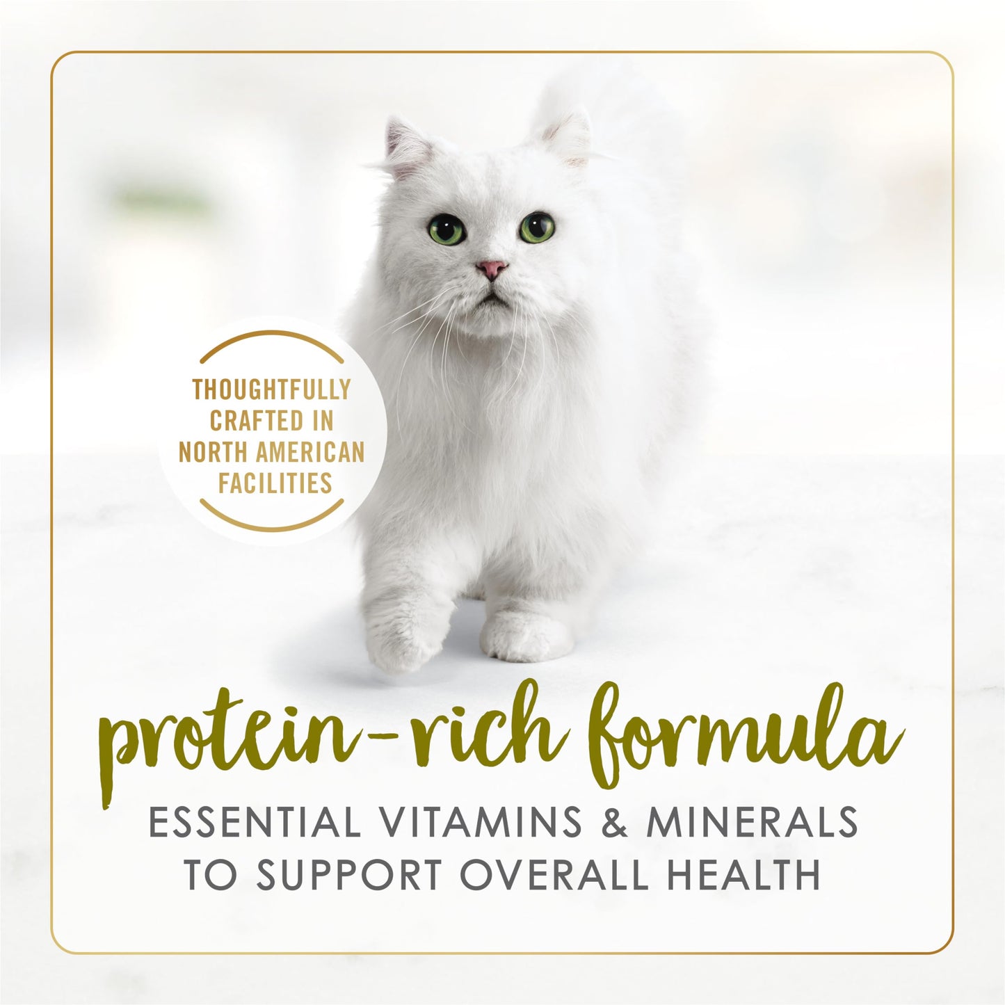 Fancy Feast Wet Cat Food, Pate Turkey & Giblets Feast - 85 g Can (24 Pack) 🍁 All In One Marketplace Canada