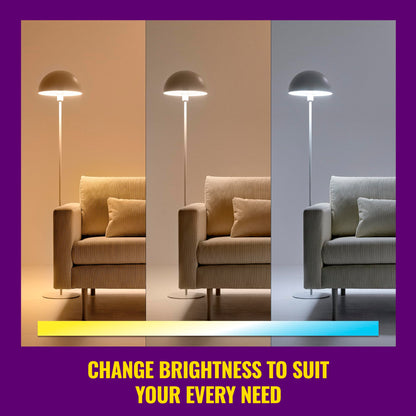 WiZ Connected 60W A19 LED Smart Light Bulbs - Connects to Your Wi-Fi - E26 Smart Bulb - Control with Voice or App + Activate with Motion - Matter Compatible - 3 Pack 🍁 All In One Marketplace Canada
