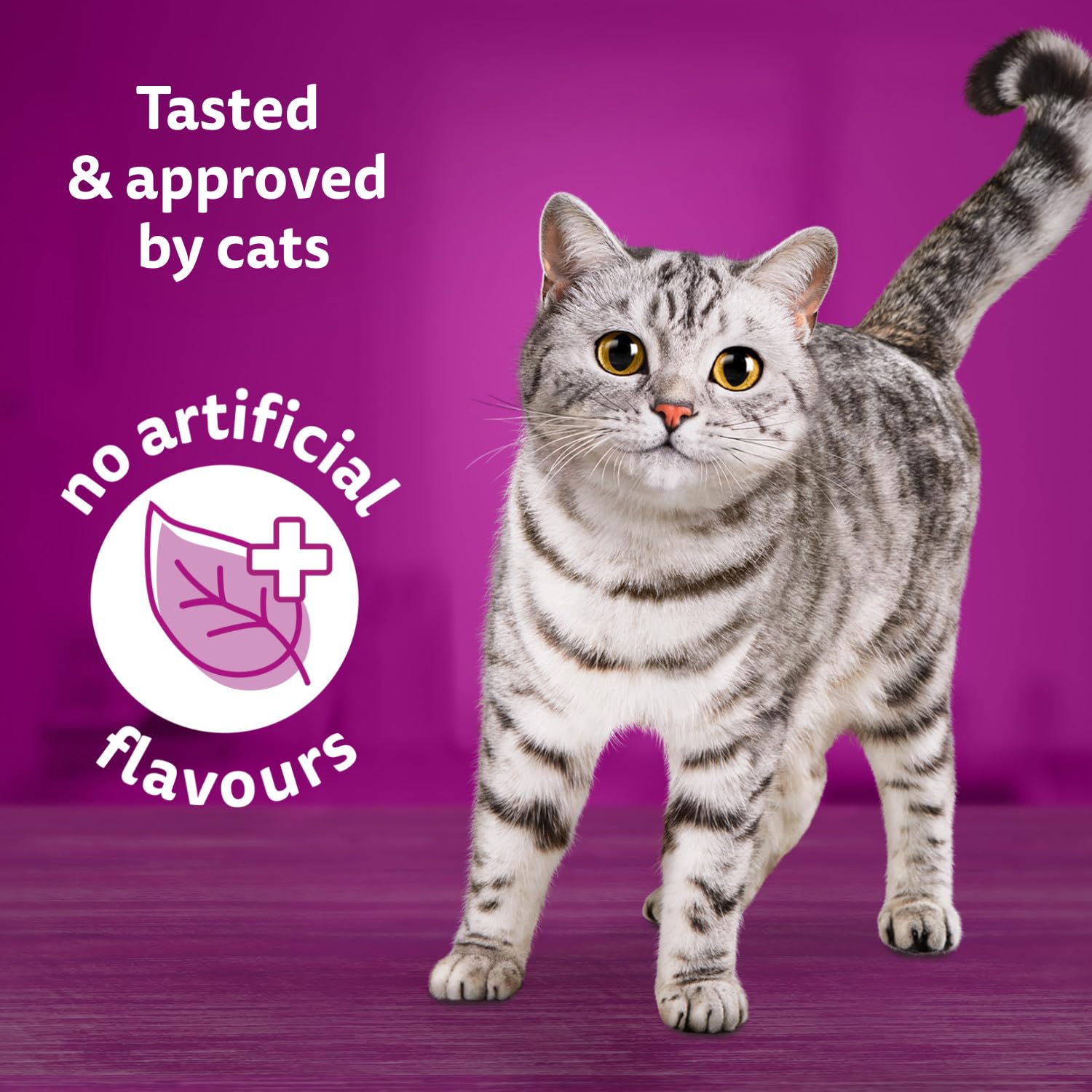 WHISKAS Salmon and Poultry Selections, Turkey, Chicken, and Savoury Salmon Dinner, Adult Wet Cat Food Paté in Natural Juices, 100g (24 Pack)