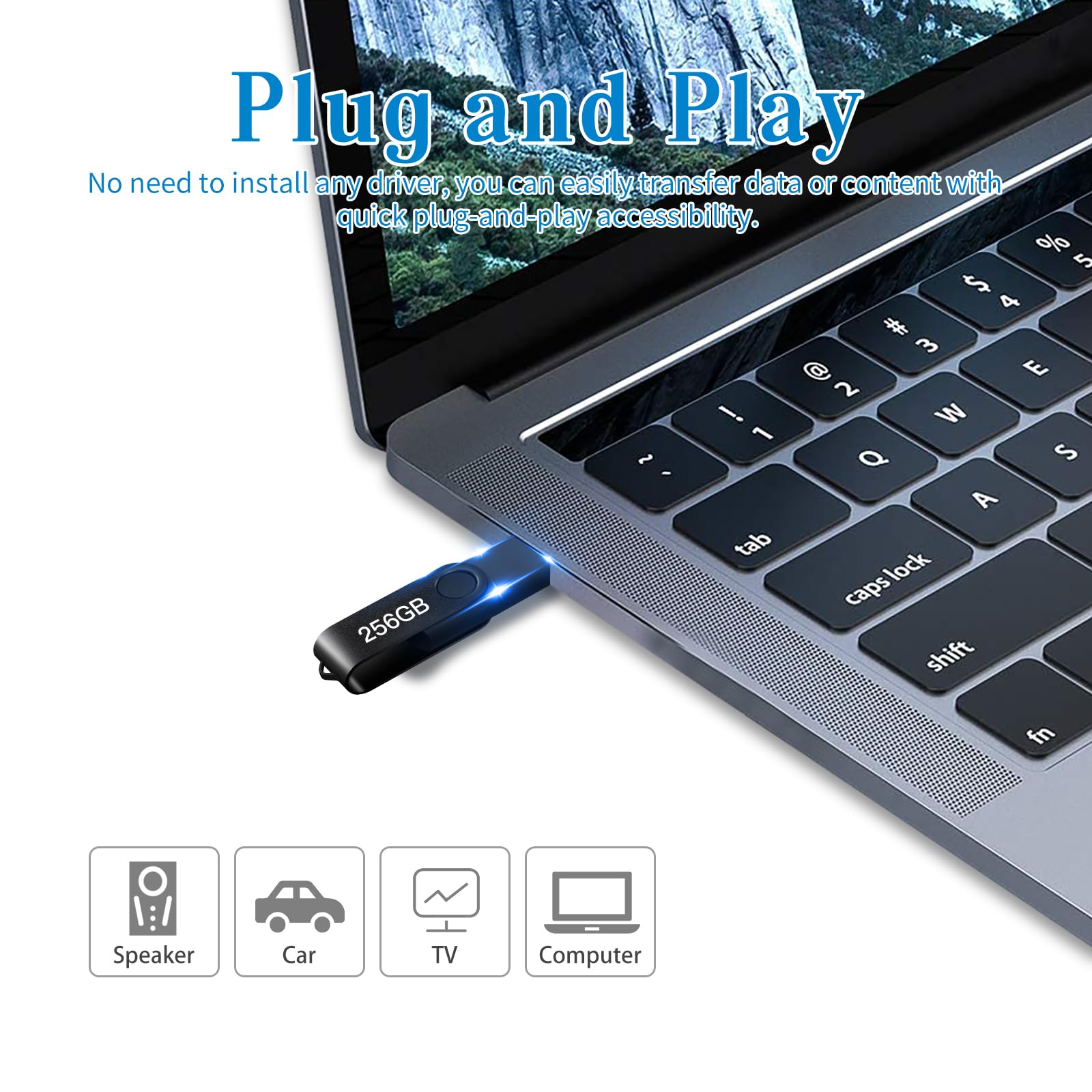 USB Flash Drive 256GB, Portable Thumb Drive: Memory Stick, Large Capacity USB Drive with Keychain, High-Speed USB 2.0 Data Storage Flash Drive for PC/Laptop