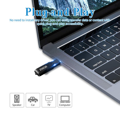 USB Flash Drive 256GB, Portable Thumb Drive: Memory Stick, Large Capacity USB Drive with Keychain, High-Speed USB 2.0 Data Storage Flash Drive for PC/Laptop