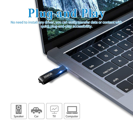 USB Flash Drive 256GB, Portable Thumb Drive: Memory Stick, Large Capacity USB Drive with Keychain, High-Speed USB 2.0 Data Storage Flash Drive for PC/Laptop