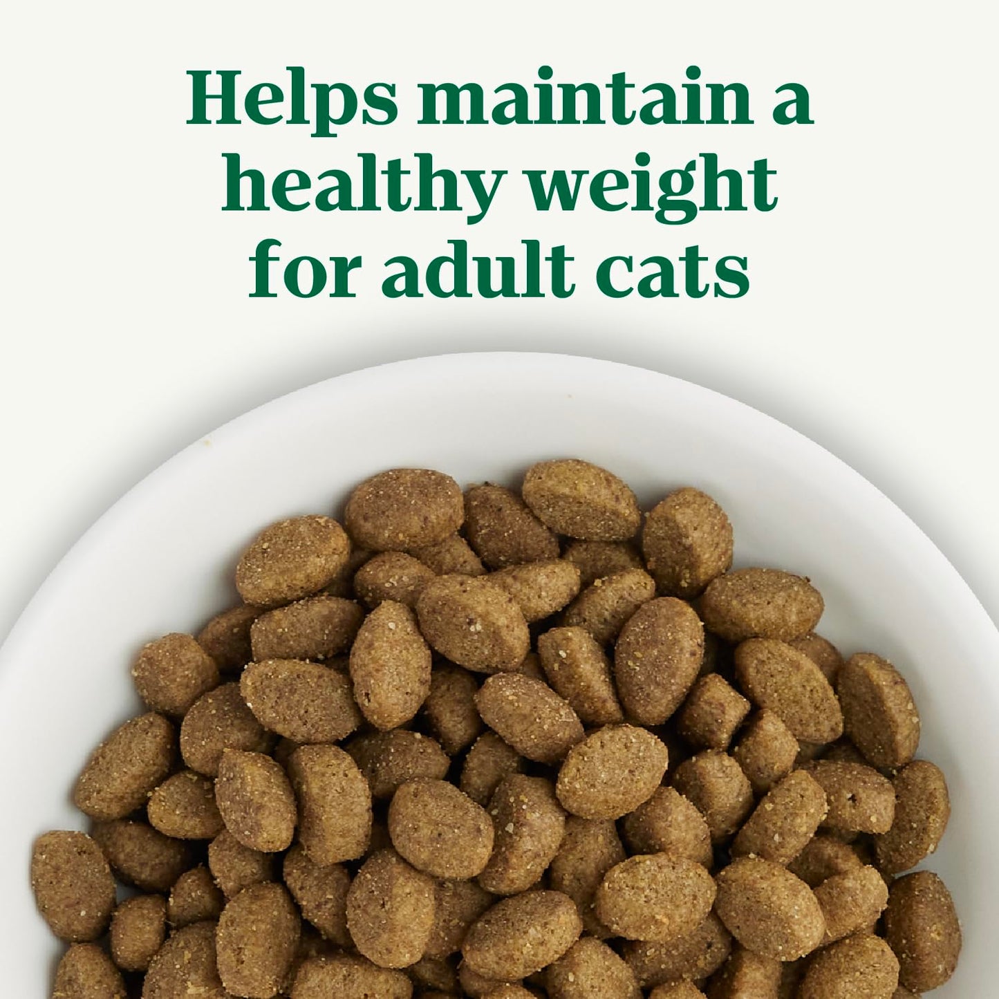 Nutro Wholesome Essentials Adult Dry Cat Food, Chicken Flavour, 1.36kg Nutro