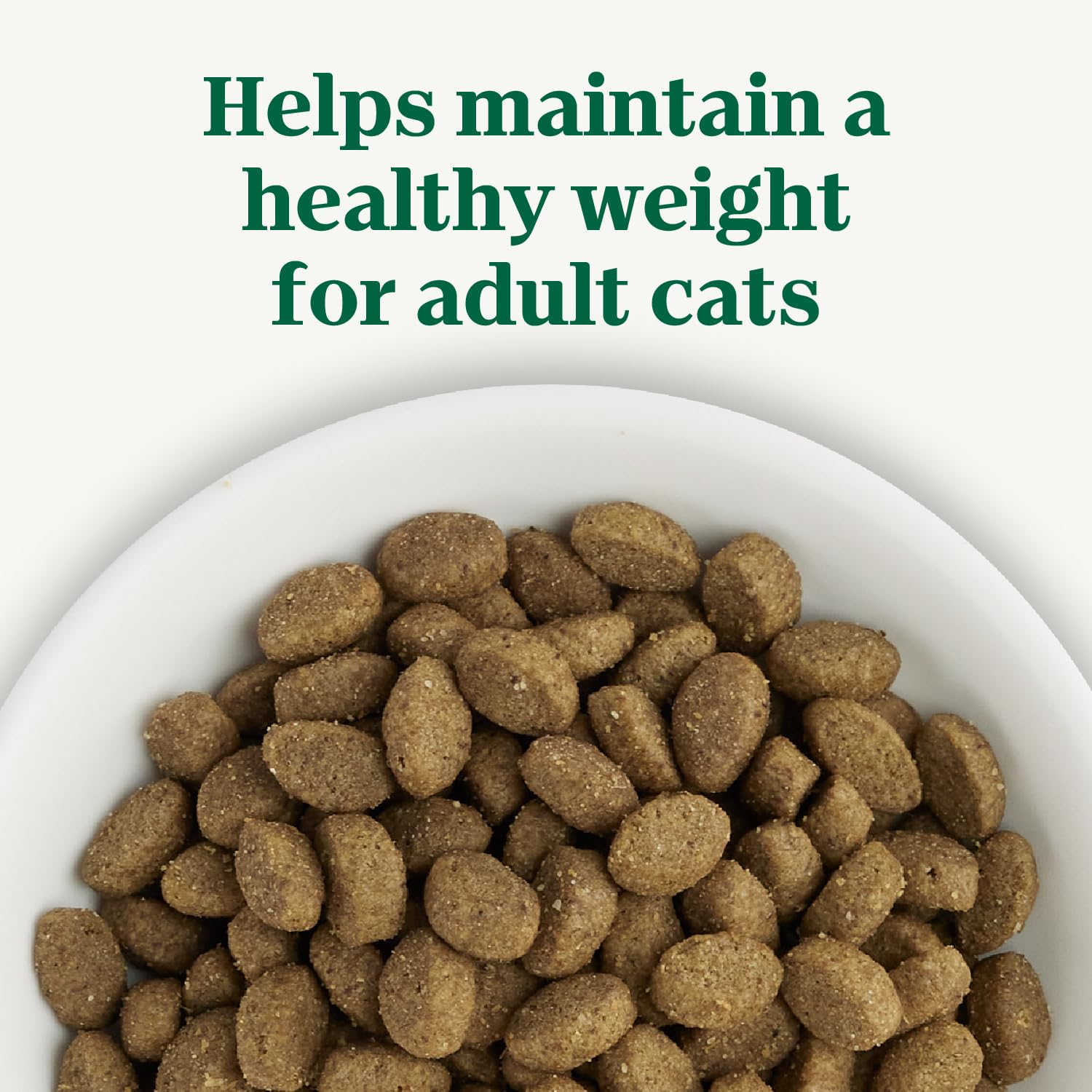 Nutro Wholesome Essentials Adult Dry Cat Food, Chicken Flavour, 1.36kg Nutro