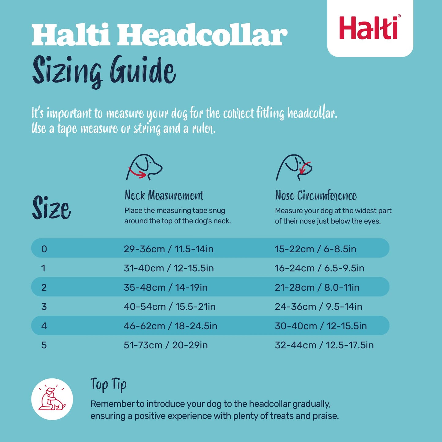 Halti Headcollar - Stop Your Dog Pulling on the Leash. Adjustable, Reflective and Lightweight, with Padded Nose Band. Dog Training Anti-Pull Collar for Medium Dogs (Size 3, Black) 🍁 All In One Marketplace Canada