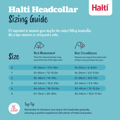 Halti Headcollar - Stop Your Dog Pulling on the Leash. Adjustable, Reflective and Lightweight, with Padded Nose Band. Dog Training Anti-Pull Collar for Medium Dogs (Size 3, Black) 🍁 All In One Marketplace Canada