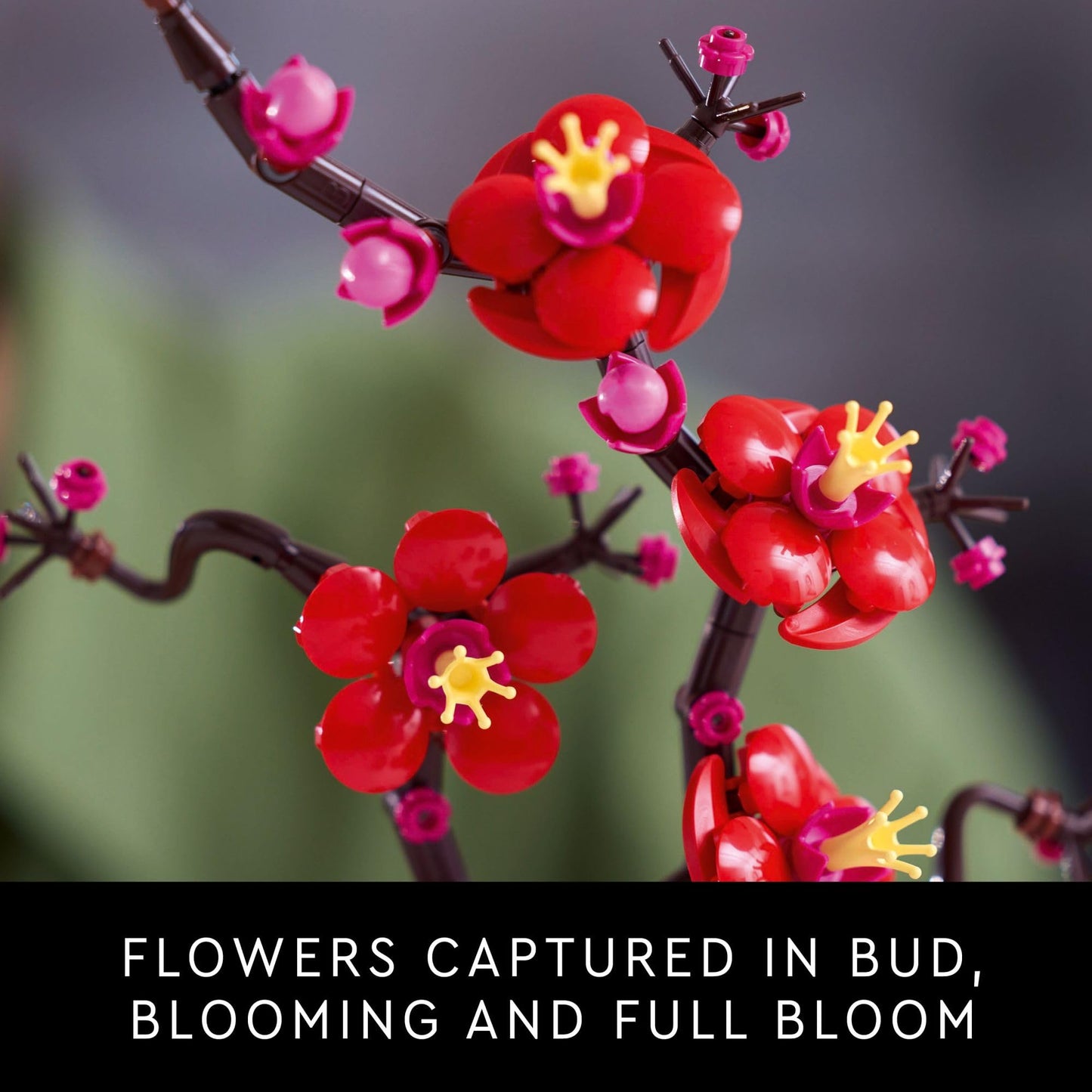 LEGO Icons Plum Blossom Building Sets for Adults - Artificial Flower for Dinner Table Centerpiece, Living Room Home Decor, Ages 18+ - DIY Craft Kits - Gift for Graduation - 10369