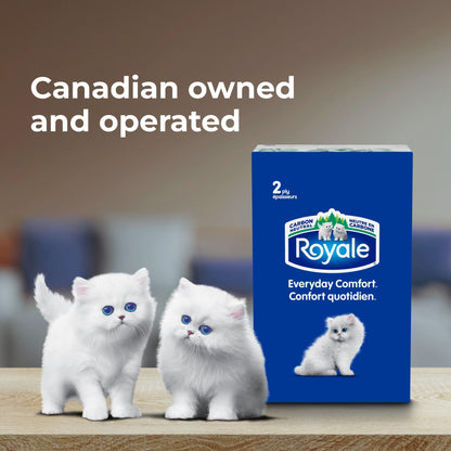 Royale Everyday Comfort 2 Ply Facial Tissue, 24 Tissue Boxes, 100 Tissues per Box - Available at All In One Marketplace Canada