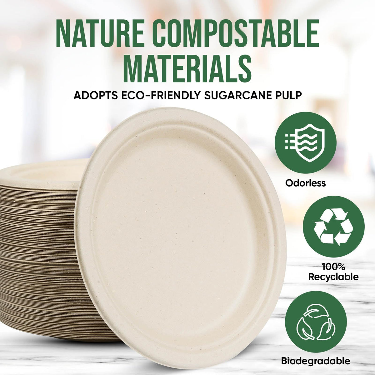 TaidMiao Disposable Paper Plate 9 inch,100% Compostable,100 Pack 🍁 All In One Marketplace Canada