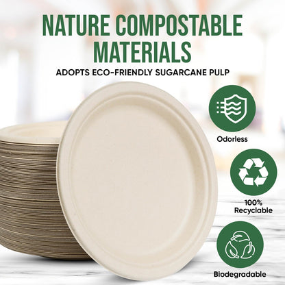 TaidMiao Disposable Paper Plate 9 inch,100% Compostable,100 Pack 🍁 All In One Marketplace Canada