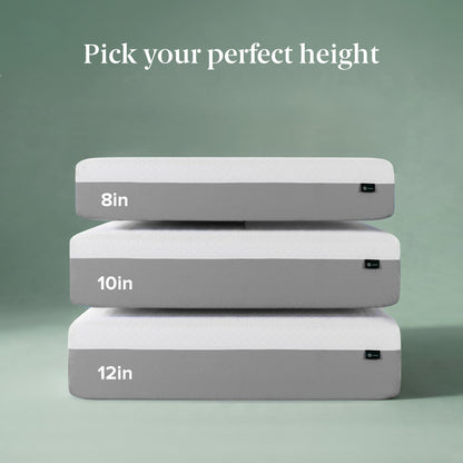 Zinus Full Mattress - 8 Inch Green Tea Essential Memory Foam Mattress, Affordable Mattress, Pressure Relief, CertiPUR-US Certified Foam, Mattress in a Box, 10-Year Warranty, Full Size Zinus