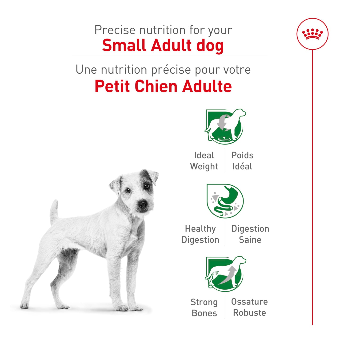 Royal Canin Small Breed Adult Dry Dog Food, 4.4 lb Bag - Available at All In One Marketplace Canada