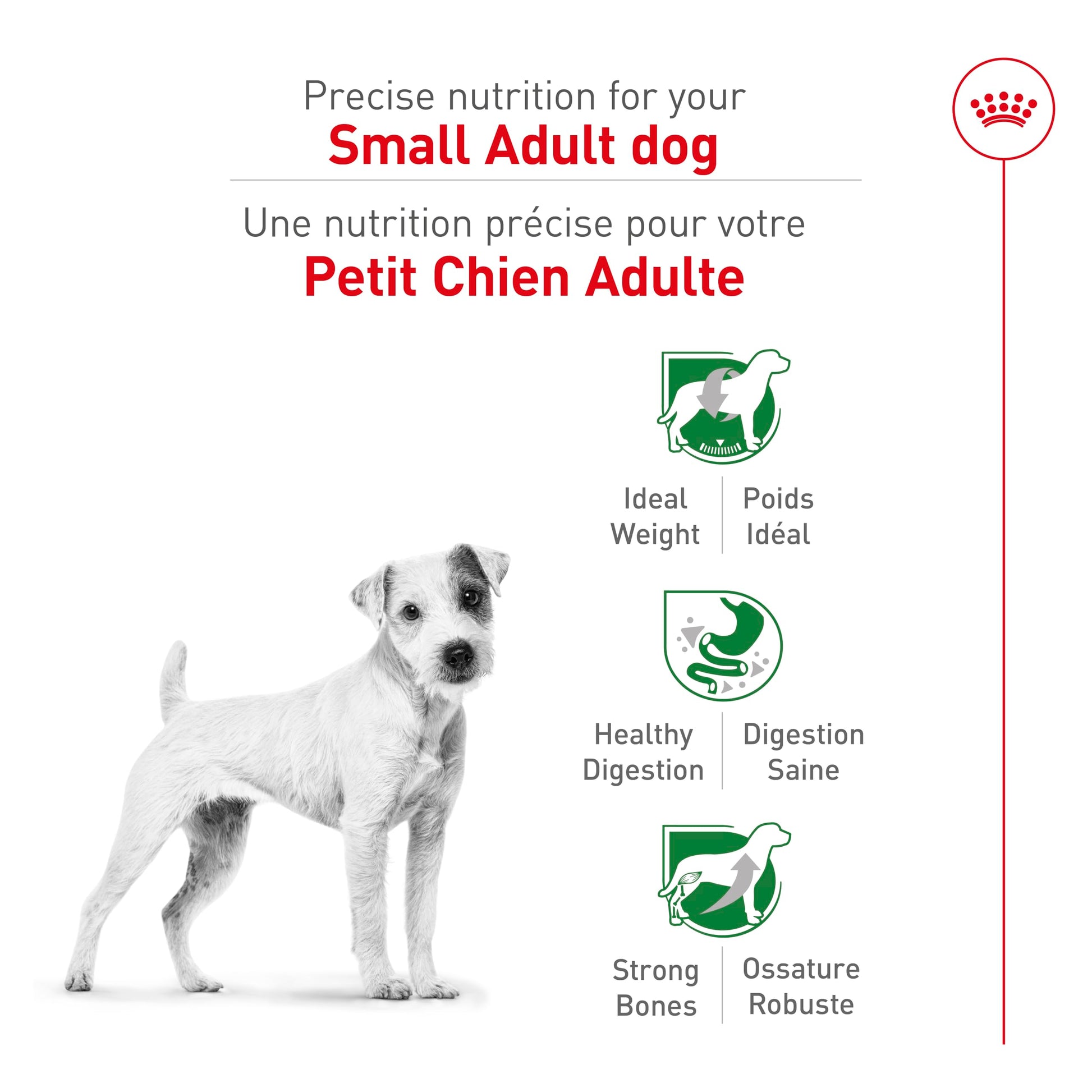 Royal Canin Size Health Nutrition Small Breed Dog Food Dry, Supports Healthy Weight, Digestive Health and Healthy Skin and Coat, 14 lb Bag - Available at All In One Marketplace Canada