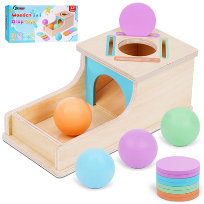 FCSONU Toddlers Montessori Ball & Coin Box Toys for 1 2 3 Year Old Boy Girl 🍁 All In One Marketplace Canada