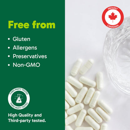 Organika Canadian-Made Advanced B-Complex 110mg- Energy and Immunity Support, Methylated B-Vitamins for Enhanced Absorption- 60vcaps - Available at All In One Marketplace Canada