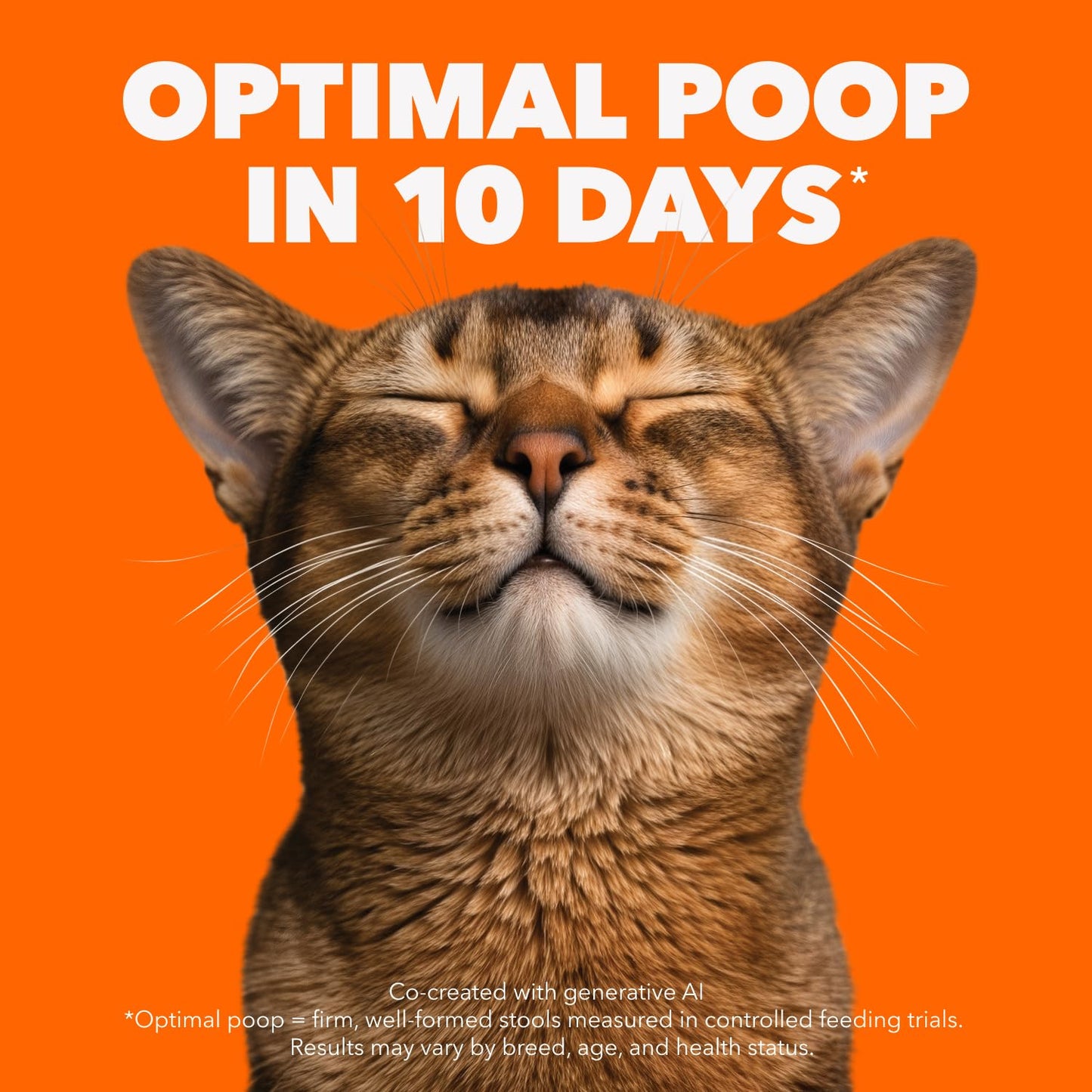 IAMS Proactive Health Senior Dry Cat Food, Chicken Flavour, 3.18kg 🍁 All In One Marketplace Canada