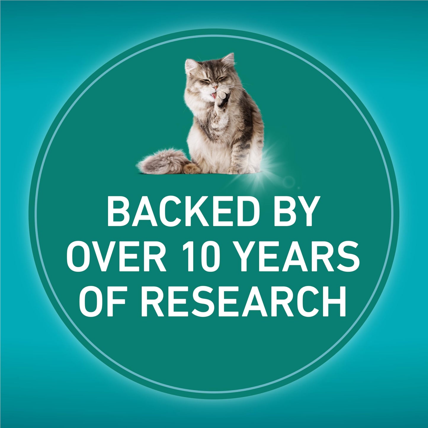 Purina ONE LiveClear Dry Cat Food, Allergen Reducing with Chicken 2.86kg 🍁 All In One Marketplace Canada