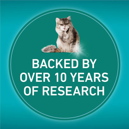 Purina ONE LiveClear Dry Cat Food, Allergen Reducing with Chicken 2.86kg 🍁 All In One Marketplace Canada
