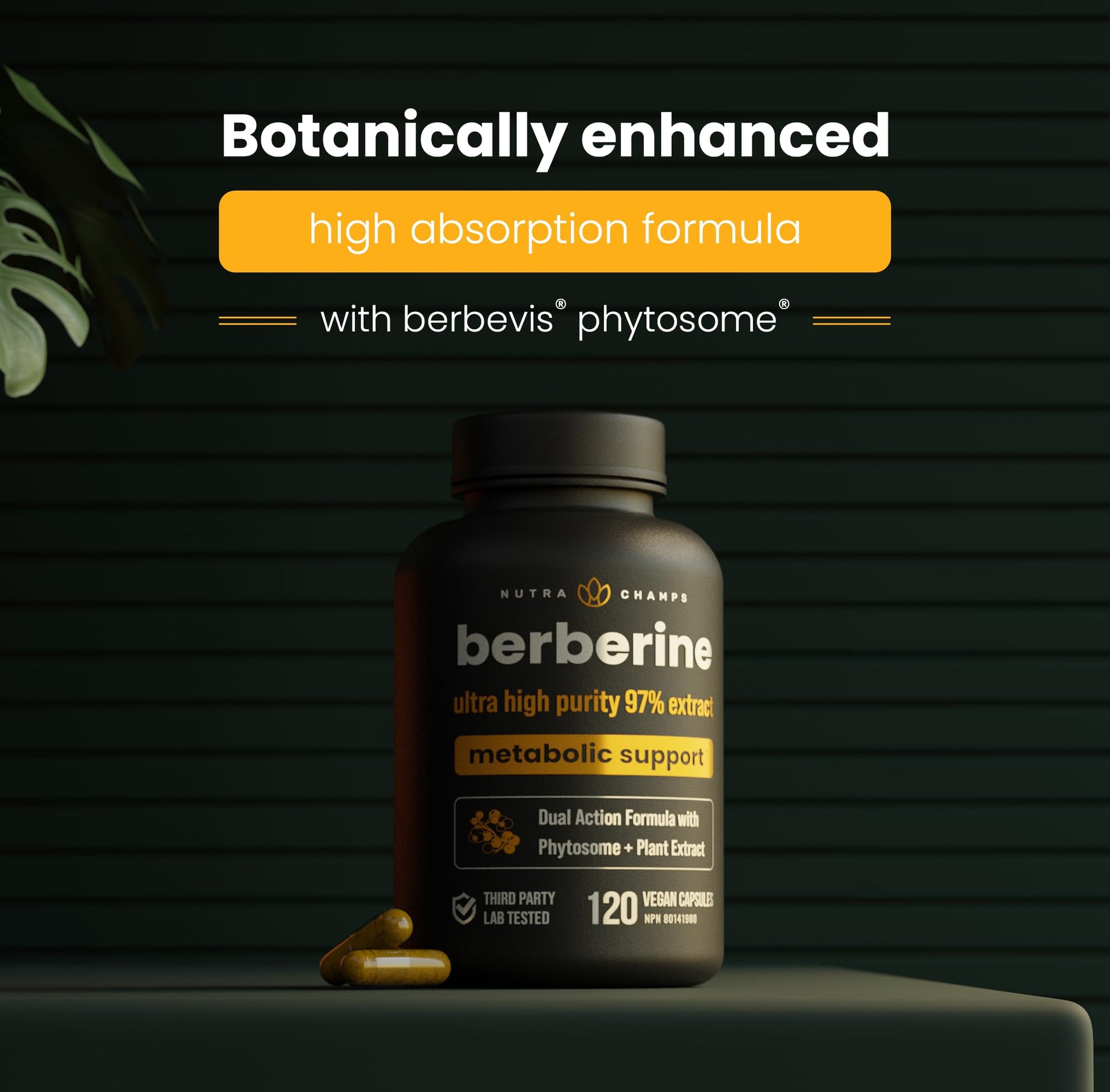 Berberine 1200mg Complex – 120 Count - Highest Purity 97% Berberine HCl + Patented Berbevis Phytosome for Max Absorption – Ultra Strength Capsules With Grape Seed Extract - Berberine Supplement Supports Glucose Metabolism & Healthy Blood Sugar Levels - Available at All In One Marketplace Canada