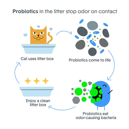 Boxie® Probiotic Cat Litter 40 Day Natural Odor Control, 16lb Clumping Kitty Litter (Clay)