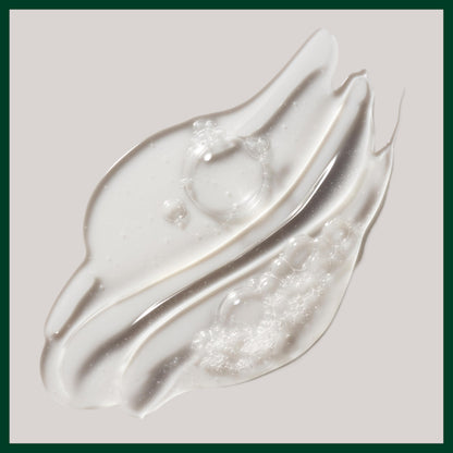 Aveda Rosemary Mint Purifying Shampoo | Clarifying Shampoo | Adds Shine | for Normal to Oily Hair, Fine to Medium Hair Types | 97% Naturally Derived*, 250ml - Available at All In One Marketplace Canada