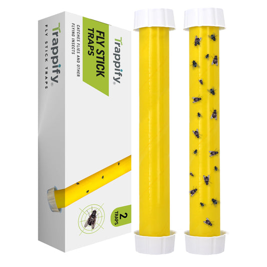Trappify Hanging Fly Traps Outdoor: Fruit Fly Traps for Indoors | Fly Catcher, Gnat, Mosquito, & Flying Insect Catchers for Inside Home - Disposable Sticky Fly Trap for Indoor House Pest Control (2)