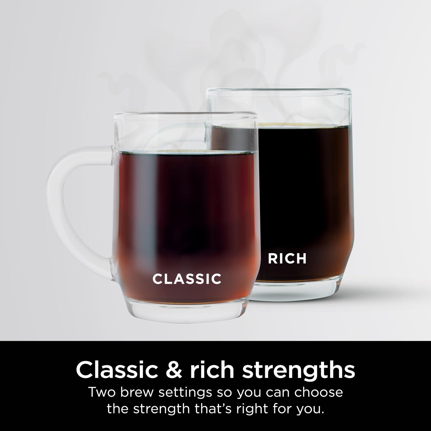 Ninja 12-Cup Programmable Coffee Maker with Glass Carafe – Classic & Rich Brew Styles, Delay Brew & Removable 60oz Water Reservoir, Black/Stainless Steel, CE250C (Canadian Version) Ninja