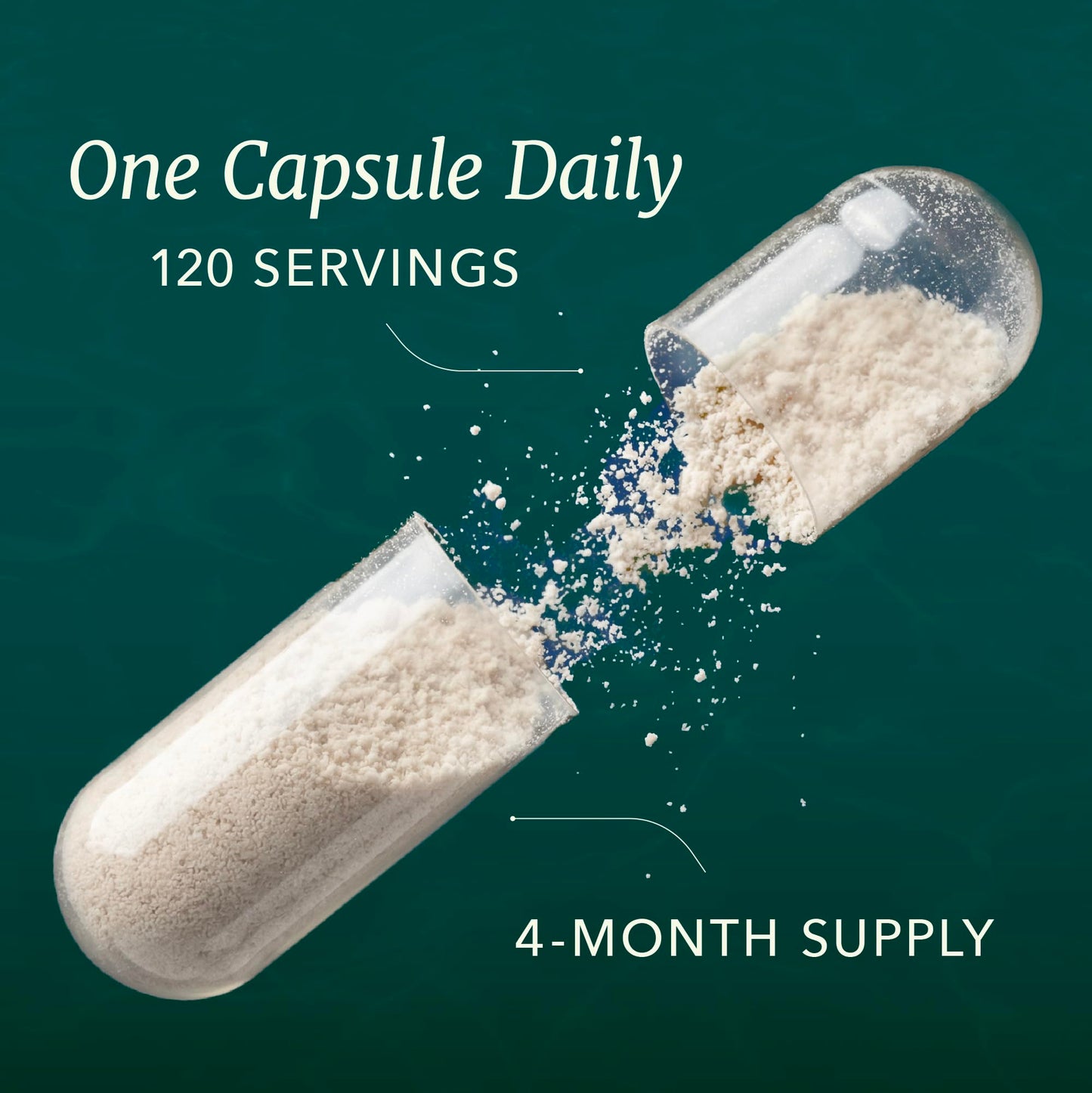L Theanine, Magnesium Glycinate + Ashwagandha Supplement | Relaxation, Sleep & Memory Support | Stress Relief, Calm, Mood & Sleep Supplements | Made in Canada & Non-GMO | 120 Ct - Available at All In One Marketplace Canada