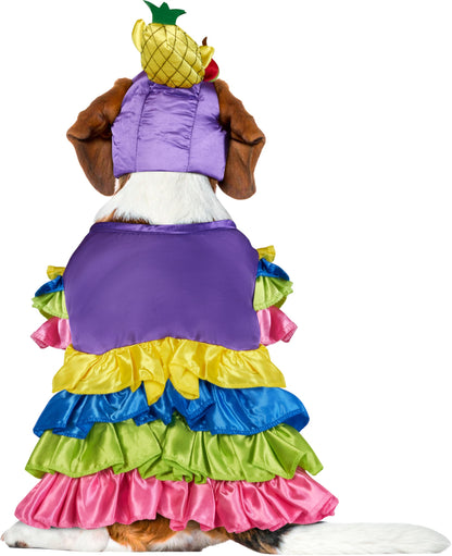 Costume de bombe brésilienne pour animal de compagnie Rubies, très grande taille, pour fêtes à thème et Halloween