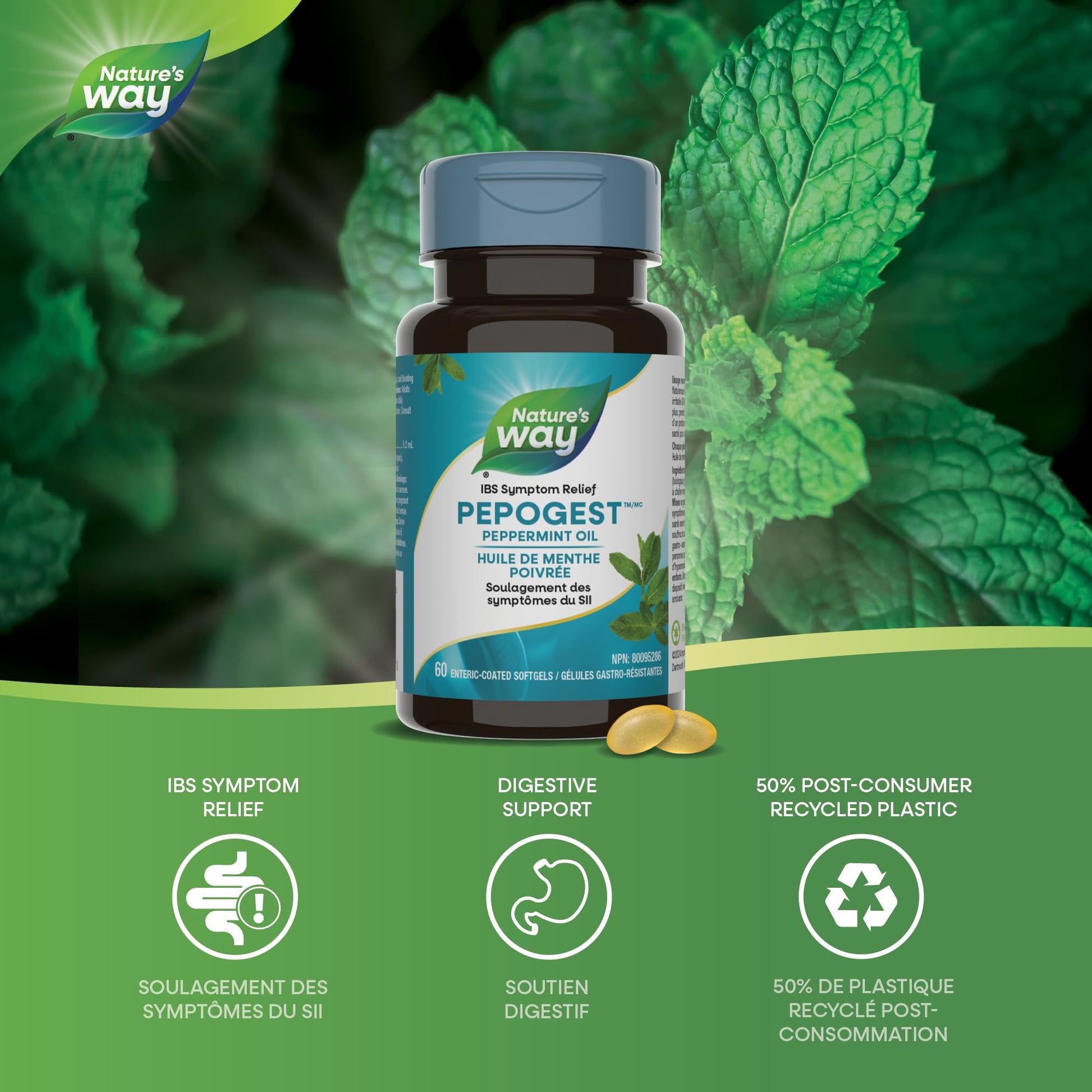 Nature’s Way Pepogest Peppermint Oil Softgels – Help Relieve Abdominal Pain, Gas & Bloating Associated with Irritable Bowel Syndrome – Enteric-Coated – 60 Capsules - Available at All In One Marketplace Canada
