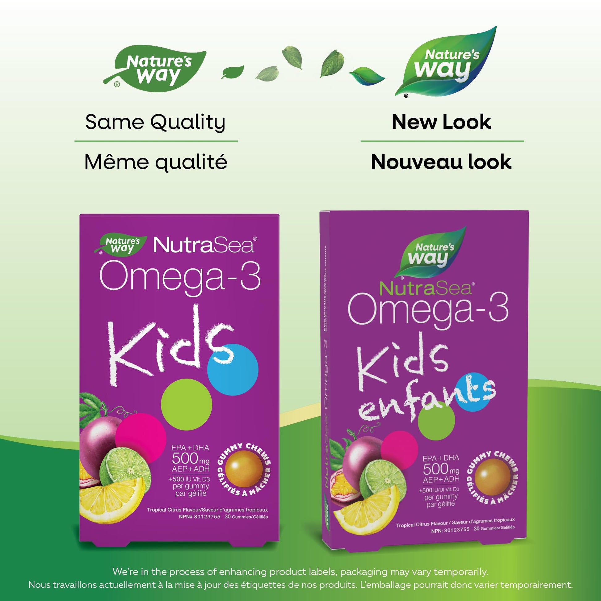 Nature's Way NutraSea Omega 3 Kids Gummy Chews Supplement with Fish Oil – Tropical Citrus Flavour – Brain, Bone & Immune Support for Kids Ages 3+ – 500mg EPA & DHA + 500IU Vitamin D3, 30 Gummies - Available at All In One Marketplace Canada