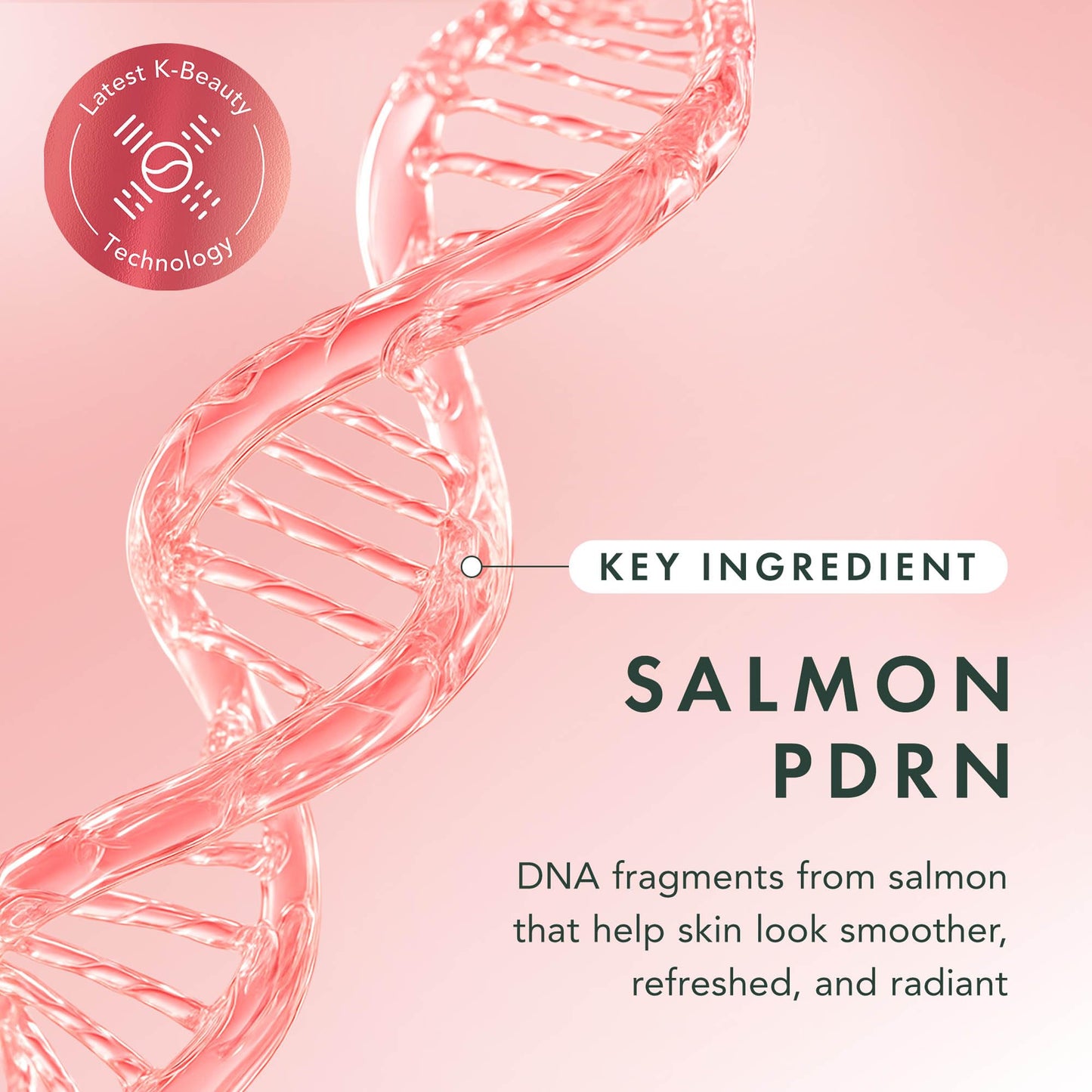 Rael Collagen PDRN Hydrogel Mask - Deep Hydration, Daily Face Masks for Face, Korean Skincare (4 Count) - Available at All In One Marketplace Canada