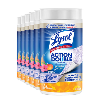 Lysol Brand New Day Dual Action Disinfecting Wipes, 6 X 75 ct