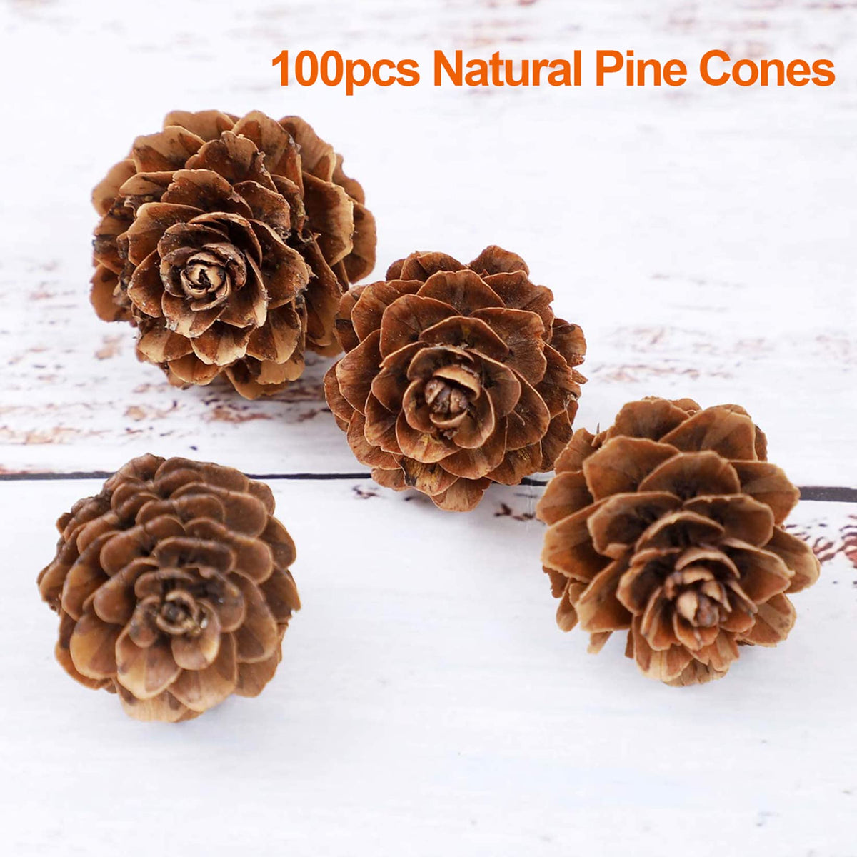 Natural Pine Cones, POTWPOT 100 Pieces Christmas Pinecones Small Pine Cones Bulk Christmas Pine Cones for Crafts Christmas Party Ornament DIY Home Decoration(2-3cm) 🍁 All In One Marketplace Canada