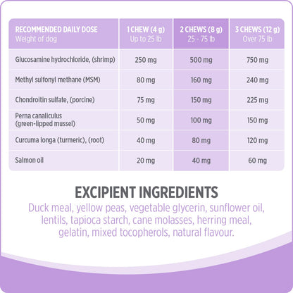 Nutrience Care® Hip & Joint Dog Supplement, 100 Soft Chews, 400 g Nutrience