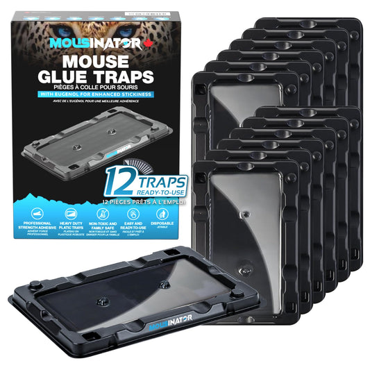 MOUSINATOR Mouse Glue Traps, 12-Pack, Heavier Plastic Glue Trap with Extra-Strong Adhesive for Small Mice, Sticky Mouse Trap for Indoor, Easy & Ready-to-Use