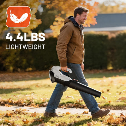Litheli 20V Cordless Leaf Blower, 355CFM 85MPH 2-Speed, Handheld Electric Blower for Lawn Care Patio Dust Leaf Cleaning, Powered by 2×2.0Ah Batteries