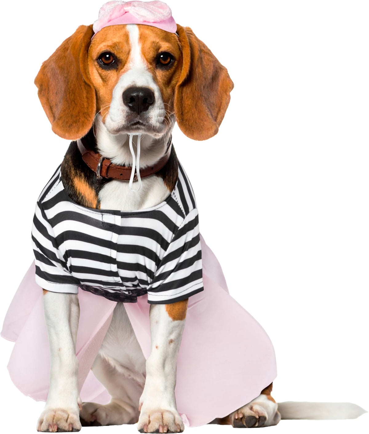 Costume pour animal de compagnie Halloween Classics Collection de Rubies Costume Co, taille moyenne, robe de fille des années 50