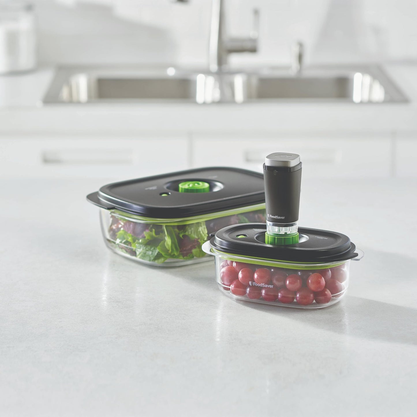 Foodsaver Marinade Containers (3cup & 10 cup) FOODSAVER