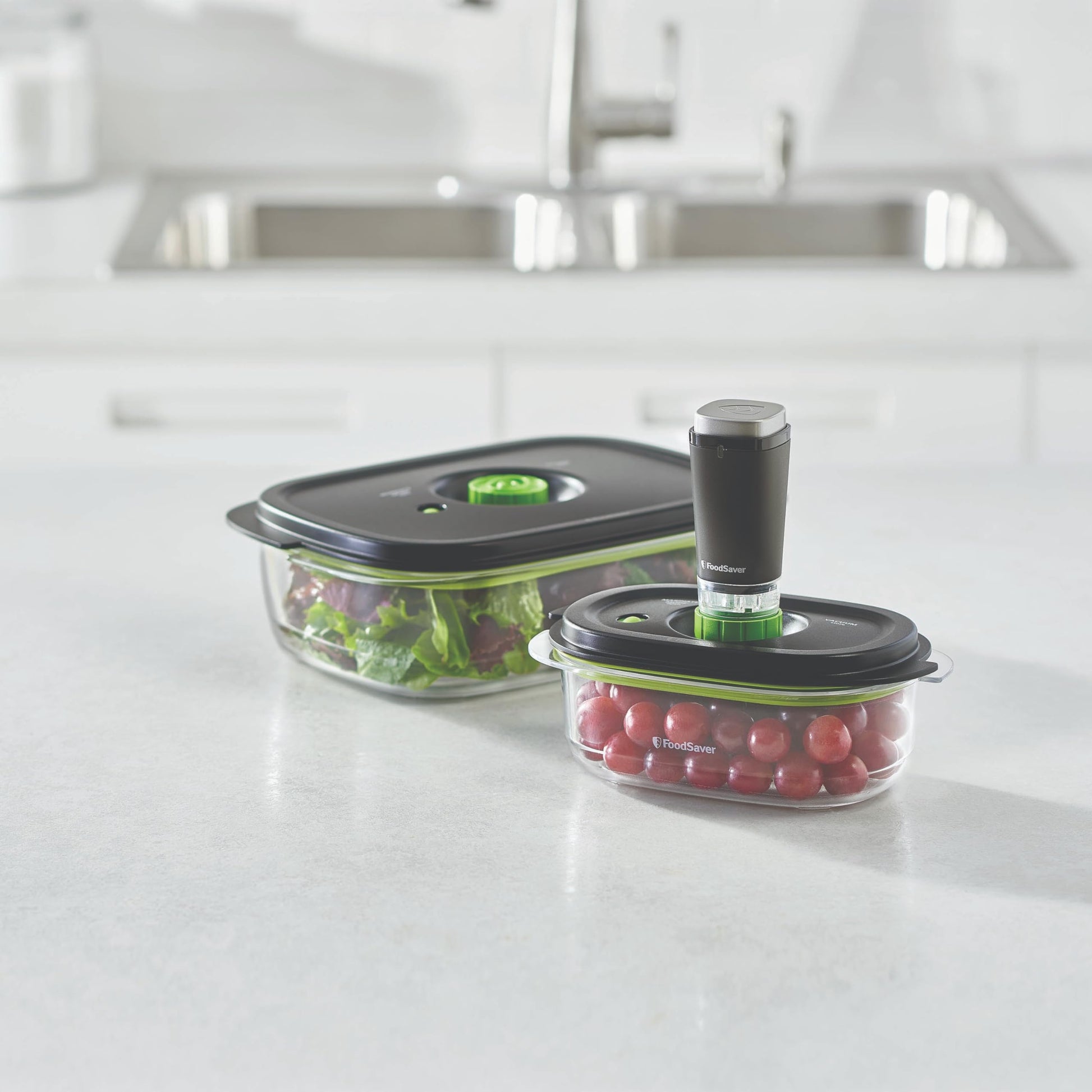 Foodsaver Marinade Containers (3cup & 10 cup) FOODSAVER