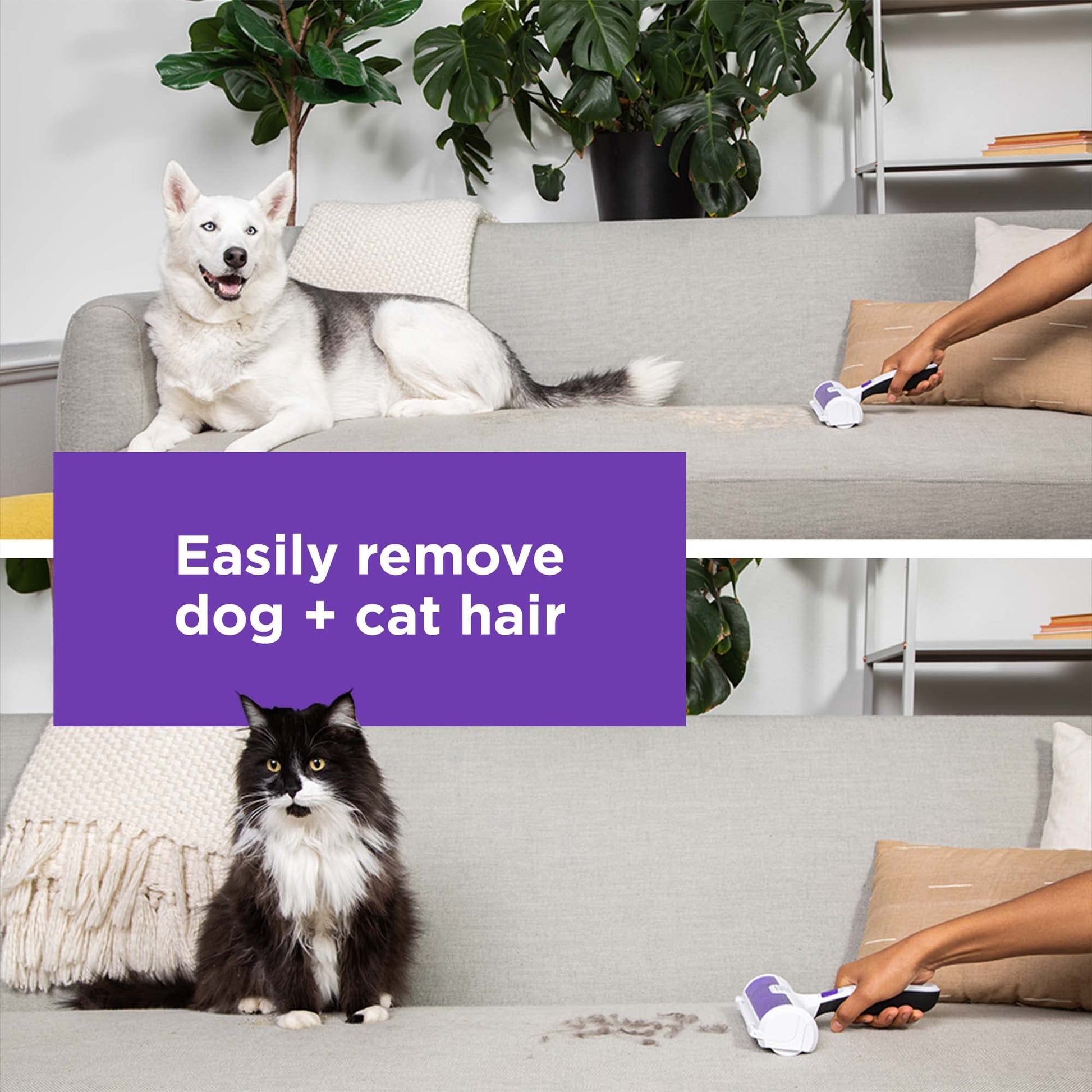 BLACK+DECKER Pet Hair Remover, Roller, Remove Dog Hair and Cat Hair Easily (HMSCT0001) - Available at All In One Marketplace Canada
