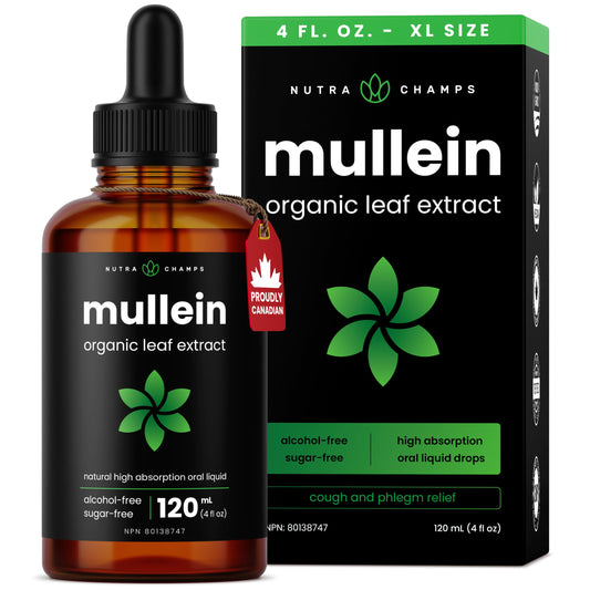 Organic Mullein Leaf Extract for Lungs - 4 Fl Oz - Herbal Tincture for Lung Cleanse & Flush - Natural Mullein Tea Alternative - Mullein Supplement Drops for Lungs - 1,000mg Equivalent Per Serving - Available at All In One Marketplace Canada