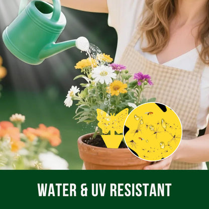 Garsum Fruit Fly Trap Indoor and Outdoor, 36 Pack Gnat Sticky Traps for House Plants, Flying Insect Trap for Fungus Gnat,Mosquitos, White Flies